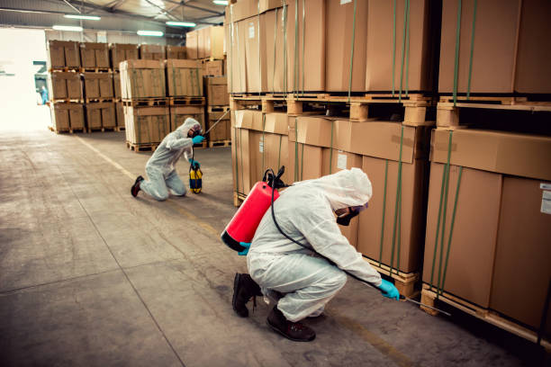 Best Pest Inspection Near Me  in Hope Mills, NC