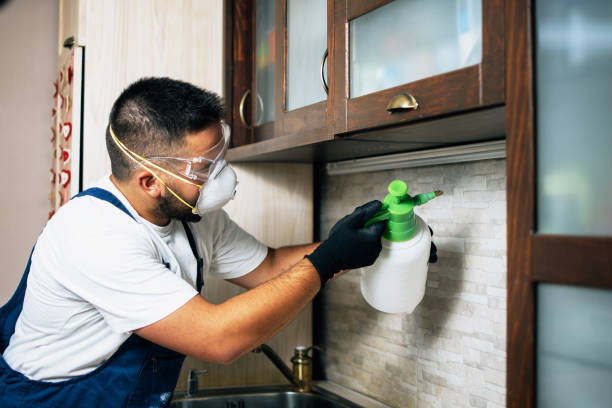 Best Affordable Pest Control Services  in Hope Mills, NC