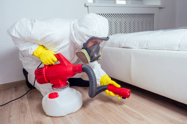 Best Flea Control Services  in Hope Mills, NC