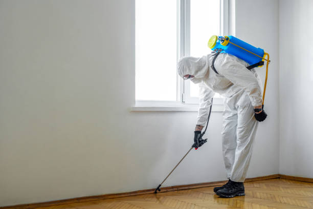 Professional Pest Control in Hope Mills, NC