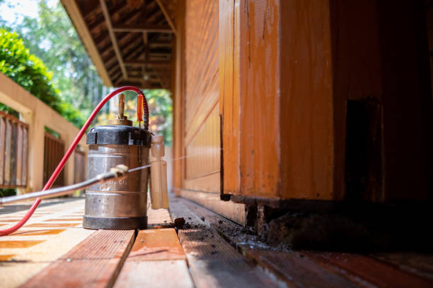 Wasp Removal Services in Hope Mills, NC