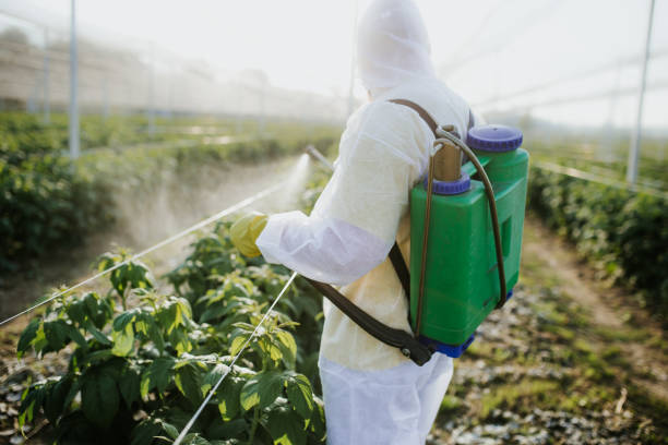 Best Mosquito Control Services  in Hope Mills, NC